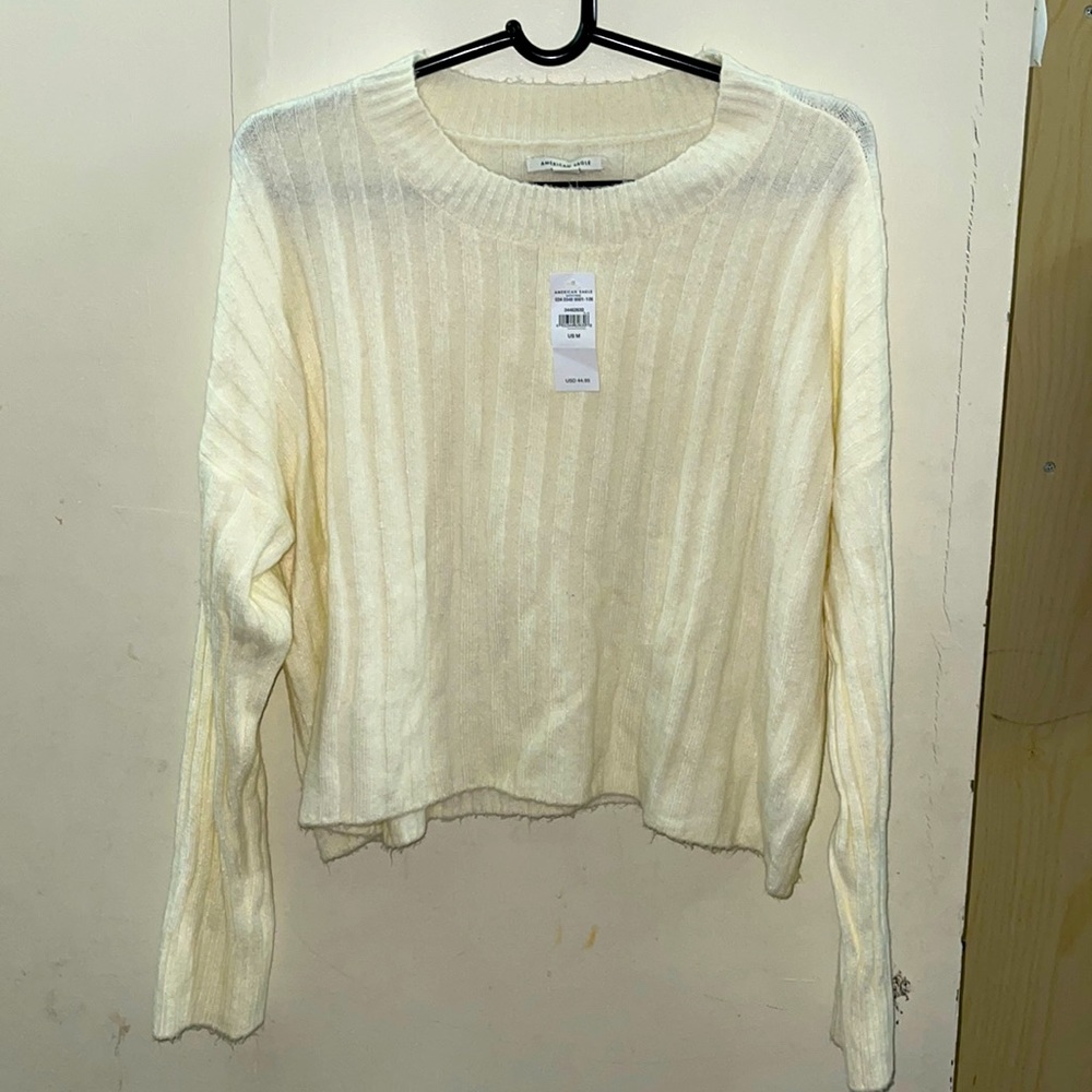 NWT- American Eagle beige crop sweater size M